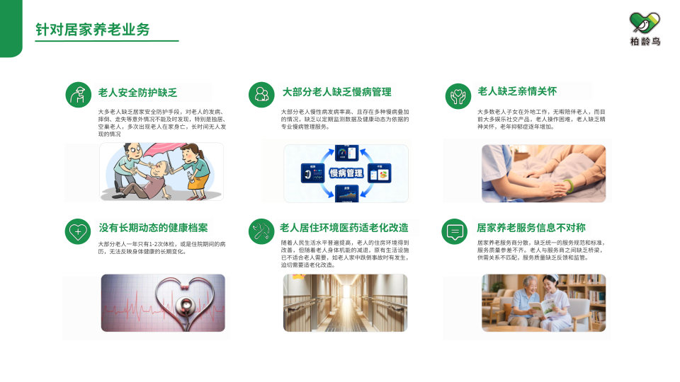 柏龄鸟企业介绍第 14 页