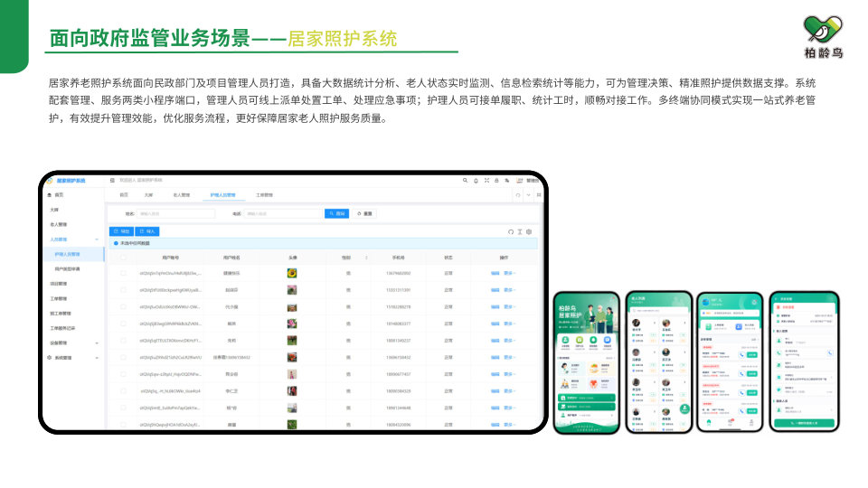 柏龄鸟企业介绍第 29 页
