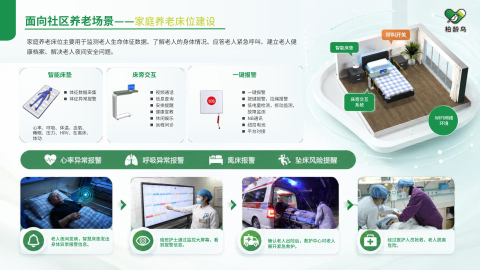 柏龄鸟企业介绍第 36 页