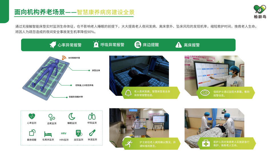 柏龄鸟企业介绍第 41 页